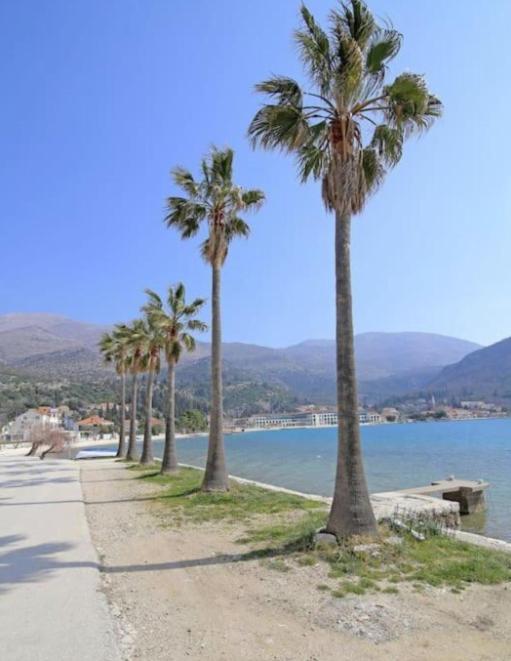 Luxury Apartments Blue Moon - New Apartments Slano Dış mekan fotoğraf